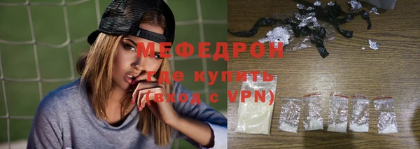 индика Богданович